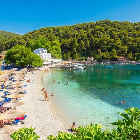 Antigoni Alikias