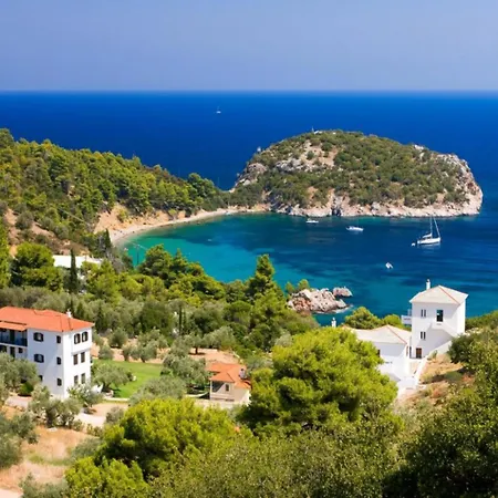 Antigoni Alikias